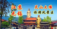 叉鸡巴江苏无锡灵山大佛旅游风景区